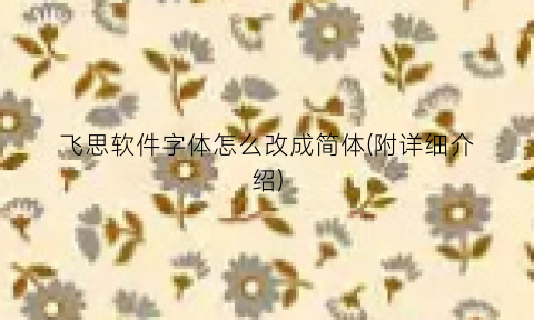 “飞思软件字体怎么改成简体(附详细介绍)