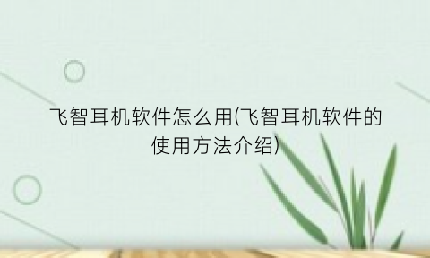 飞智耳机软件怎么用(飞智耳机软件的使用方法介绍)