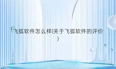 “飞狐软件怎么样(关于飞狐软件的评价)