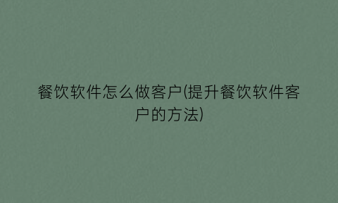 “餐饮软件怎么做客户(提升餐饮软件客户的方法)