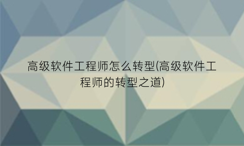 高级软件工程师怎么转型(高级软件工程师的转型之道)