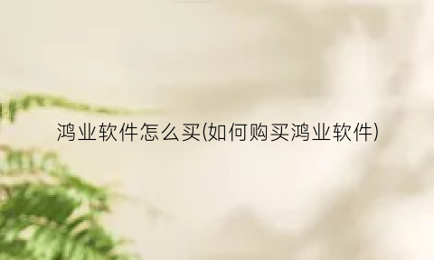 “鸿业软件怎么买(如何购买鸿业软件)