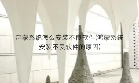 鸿蒙系统怎么安装不良软件(鸿蒙系统安装不良软件的原因)
