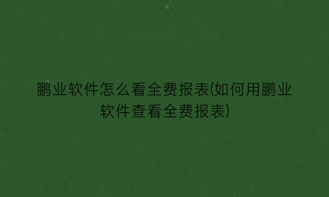 “鹏业软件怎么看全费报表(如何用鹏业软件查看全费报表)