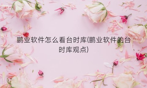 “鹏业软件怎么看台时库(鹏业软件的台时库观点)