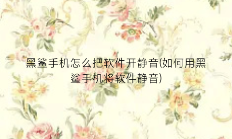黑鲨手机怎么把软件开静音(如何用黑鲨手机将软件静音)
