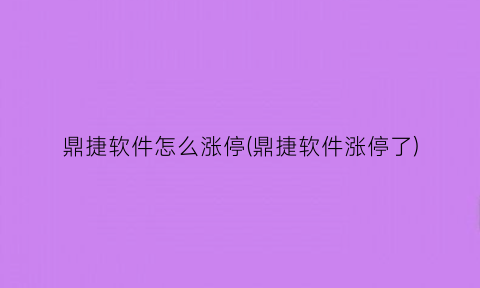 “鼎捷软件怎么涨停(鼎捷软件涨停了)