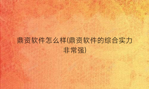 鼎资软件怎么样(鼎资软件的综合实力非常强)