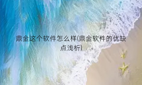 鼎金这个软件怎么样(鼎金软件的优缺点浅析)