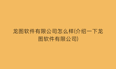 龙图软件有限公司怎么样(介绍一下龙图软件有限公司)