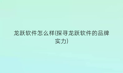 龙跃软件怎么样(探寻龙跃软件的品牌实力)