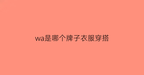 wa是哪个牌子衣服穿搭(wax是什么牌子的衣服)