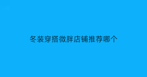 冬装穿搭微胖店铺推荐哪个(冬季穿搭微胖)