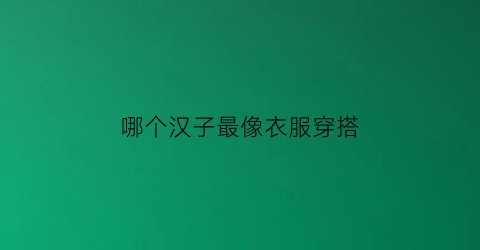 哪个汉子最像衣服穿搭(最像汉字的字体)