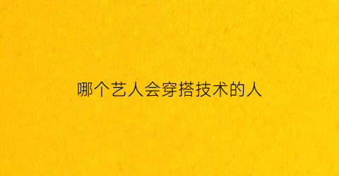 哪个艺人会穿搭技术的人(哪个艺人会穿搭技术的人多)