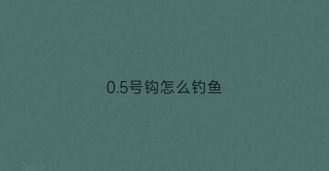 0.5号钩怎么钓鱼