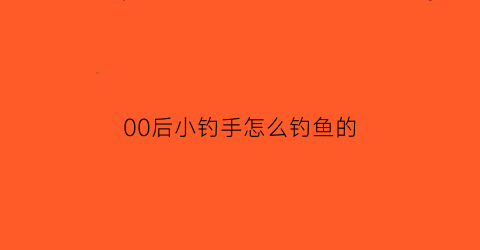 00后小钓手怎么钓鱼的(小钓鱼视频)