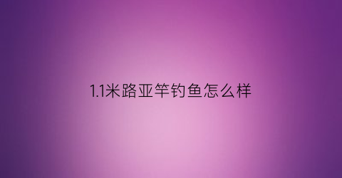 11米路亚竿钓鱼怎么样(1米的路亚竿好用吗)