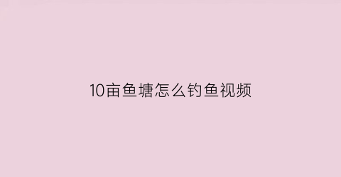 10亩鱼塘怎么钓鱼视频