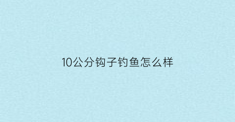 10公分钩子钓鱼怎么样(钓十公分的小鱼用多大的钩)