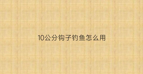 “10公分钩子钓鱼怎么用(钓十公分的小鱼用多大的钩)