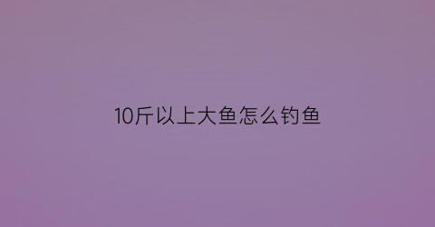 10斤以上大鱼怎么钓鱼