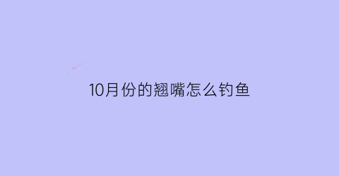 10月份的翘嘴怎么钓鱼(十月份翘嘴一般在什么水层)