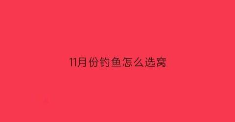 11月份钓鱼怎么选窝