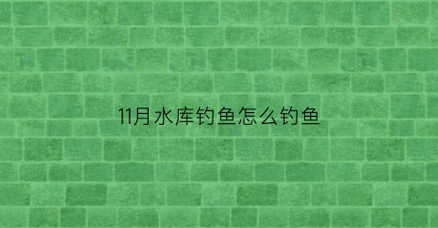 “11月水库钓鱼怎么钓鱼(十一月水库能钓鱼吗)