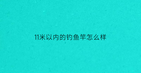 11米以内的钓鱼竿怎么样(11米左右的鱼竿什么牌子好)