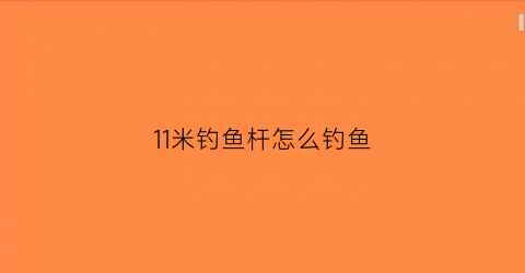 “11米钓鱼杆怎么钓鱼(11米钓鱼杆怎么钓鱼的)