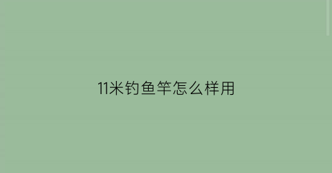 11米钓鱼竿怎么样用