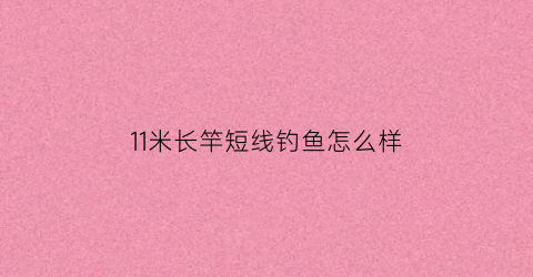 “11米长竿短线钓鱼怎么样(11米鱼竿配多长的鱼线)