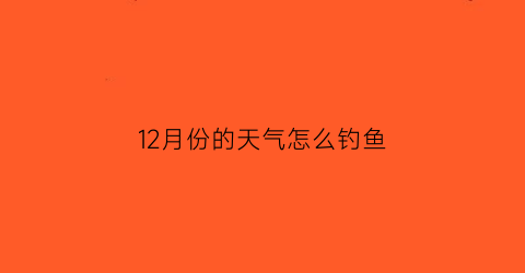 12月份的天气怎么钓鱼(12月份钓鱼技巧)