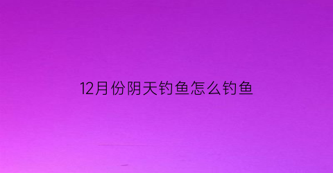 12月份阴天钓鱼怎么钓鱼(冬季连续阴天钓鱼)