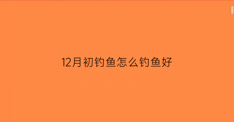 12月初钓鱼怎么钓鱼好(12月初钓鱼怎么钓鱼好钓呢)