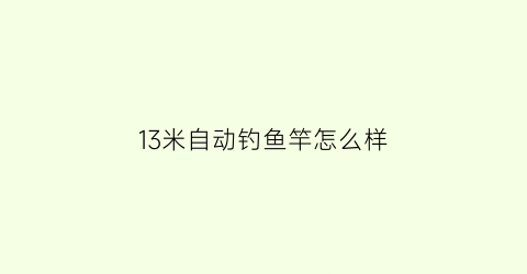 13米自动钓鱼竿怎么样