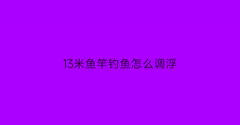 13米鱼竿钓鱼怎么调浮(13米的鱼竿哪个品牌好要求调)