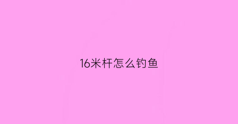 16米杆怎么钓鱼