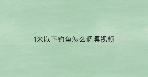 1米以下钓鱼怎么调漂视频