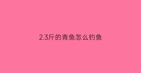 2.3斤的青鱼怎么钓鱼