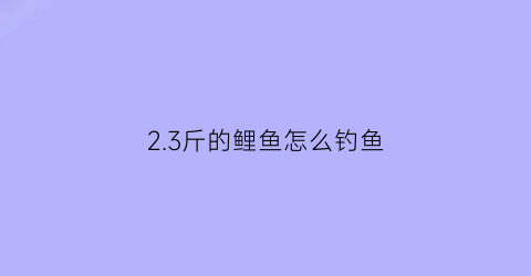 2.3斤的鲤鱼怎么钓鱼