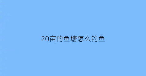 “20亩的鱼塘怎么钓鱼(二十亩的鱼塘怎么经营)