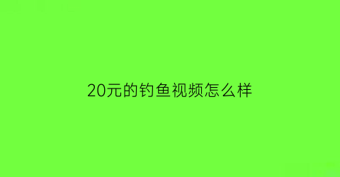 20元的钓鱼视频怎么样