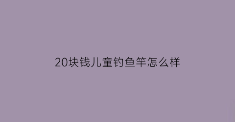 20块钱儿童钓鱼竿怎么样