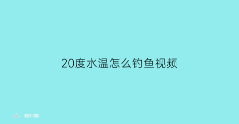 20度水温怎么钓鱼视频