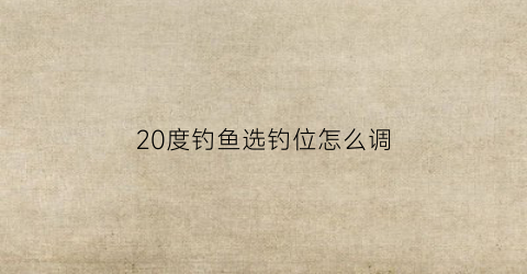 20度钓鱼选钓位怎么调(20度怎么钓鱼最好)