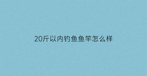 “20斤以内钓鱼鱼竿怎么样(钓20斤左右的鱼竿哪个牌子好)