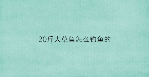 “20斤大草鱼怎么钓鱼的(20斤以上的草鱼怎么钓)