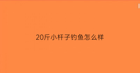 “20斤小杆子钓鱼怎么样(钓20斤左右的鱼竿哪个牌子好)